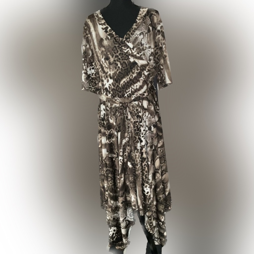 Women’s dress NWOT